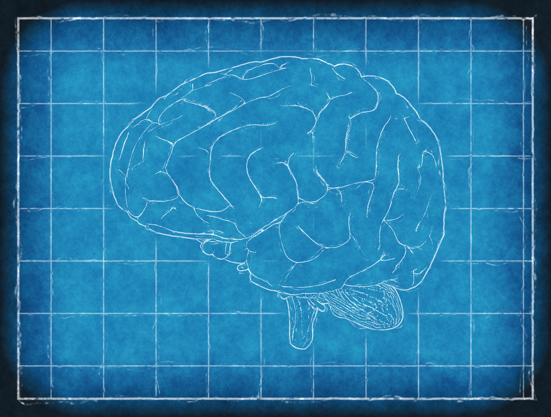 brain-1845941_1920 brain-1845941_1920